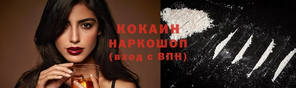 PSILOCYBIN Горняк