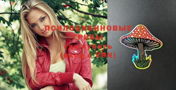 PSILOCYBIN Горняк