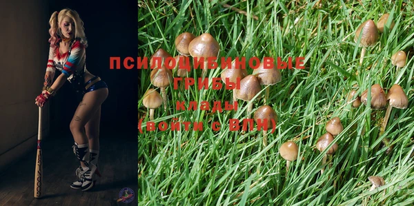 марки lsd Горнозаводск