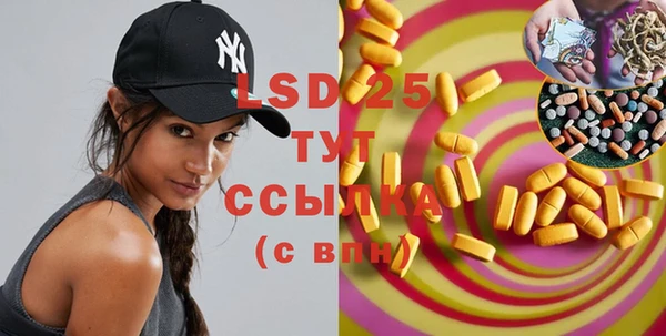 PSILOCYBIN Горняк