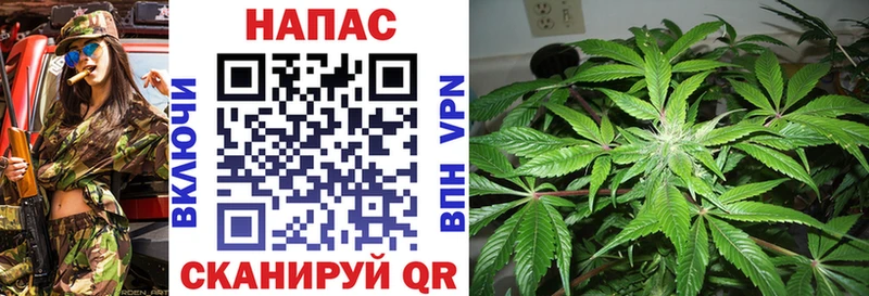 Бошки Шишки SATIVA & INDICA Крымск